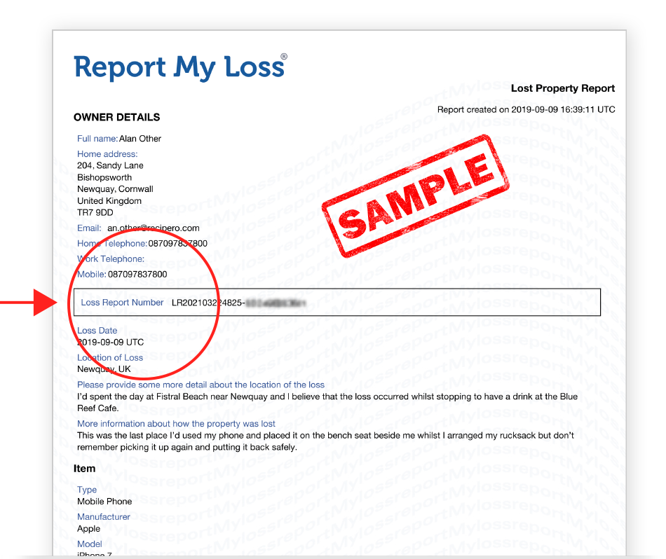 Verify report infographic